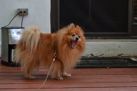 DSC_0059.jpg