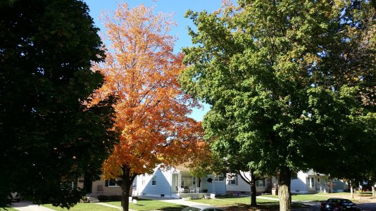 2013-10-13 15.48.16.jpg