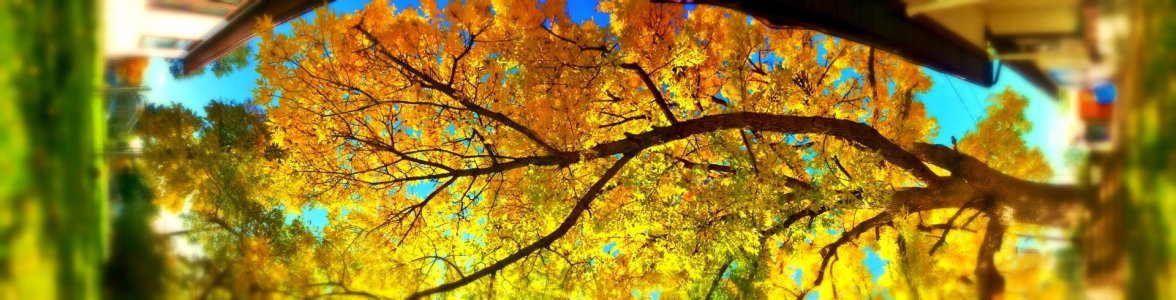 20131012_114232_E Oxford Ave_1_1.jpg