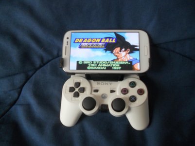 DSCN2486.jpg
