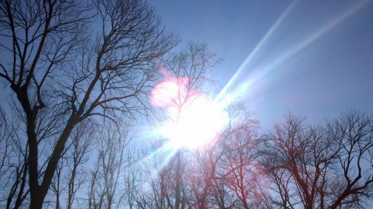 2012-02-09 10.14.11.jpg