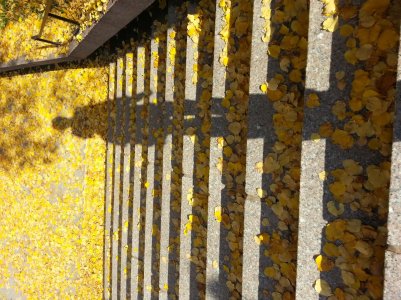 20121025_124741.jpg