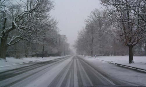 IMAG0003 (2).jpg