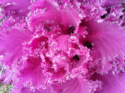 20121013_154155.jpg