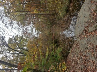 20121027_151347_HDR.jpg