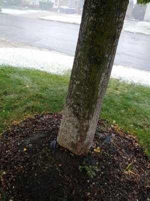 IMG_20121025_101714.jpg