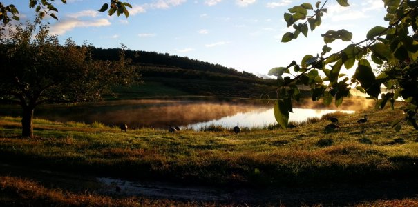 sunrise 2.jpg