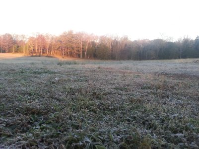 20121031_072026.jpg