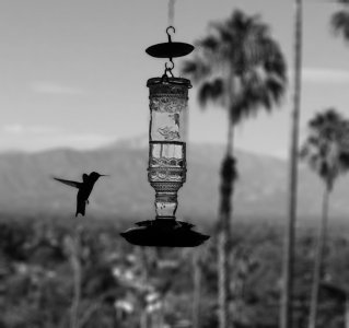 afterfocus_1348712176613[1].jpg