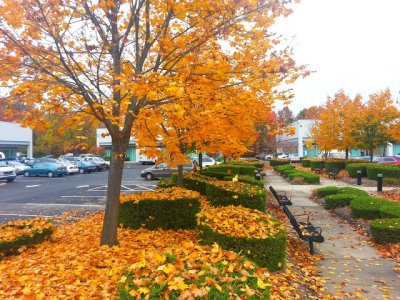20121026_131818.jpg