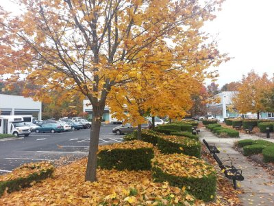 20121026_131811.jpg