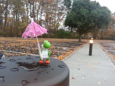 20121029_103650.jpg