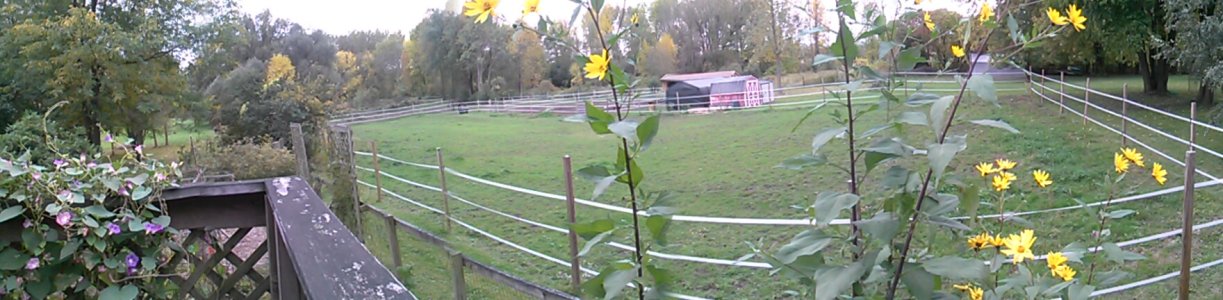 CAM00009.jpg