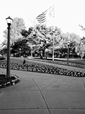 photo.jpg