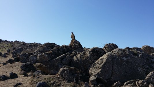 20131011_110104.jpg