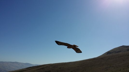 20131011_110109.jpg