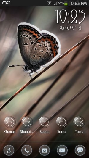 butterfly.jpg