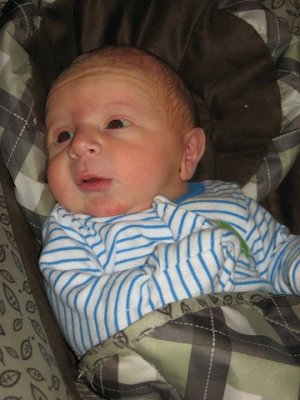 leo-monkey-bouncer-small.jpg