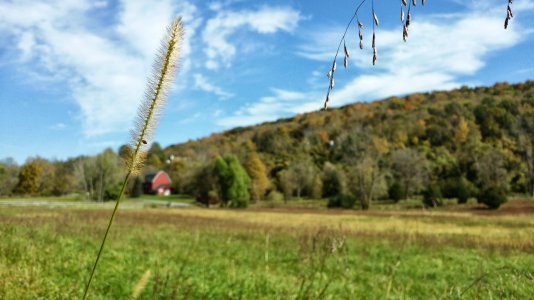 20131014_121450_Richtone(HDR).jpg