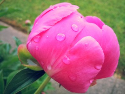 2013-05-08 19.13.55.jpg