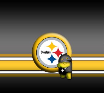 nfl-pittsburgh-steelers-lloyd-ii-8g4.jpg