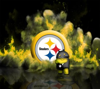 nfl-pittsburgh-steelers-lloyd-3j2.jpg