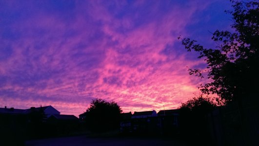 IMAG0683.jpg