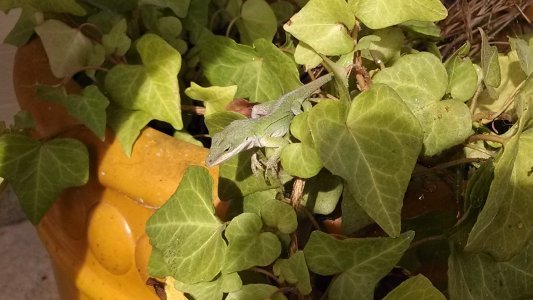 2013-10-06 16.26.17.jpg