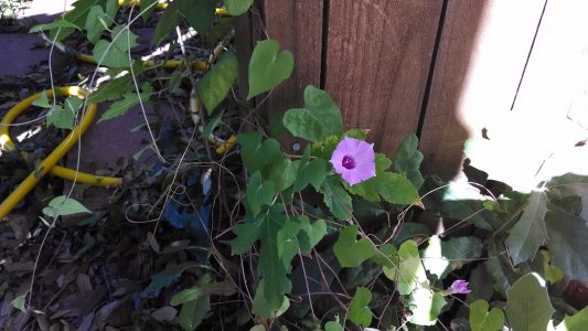 IMG_20131007_110757574.jpg