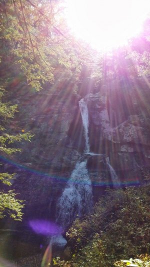 20131014_102717.jpg
