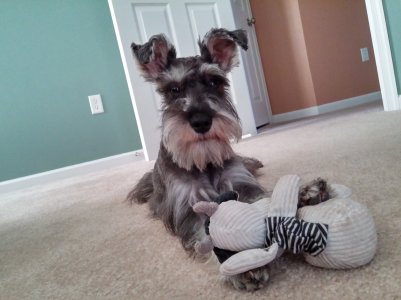 2013-09-17 17.17.16.jpg