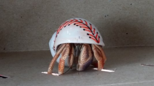 20131011_104938.jpg