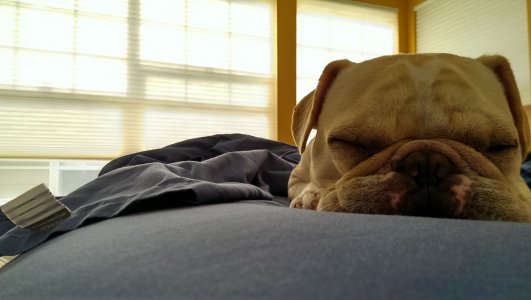 2013-06-02 09.22.34.jpg
