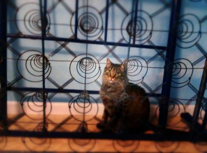 2013-10-02 11.09.27-1.jpg