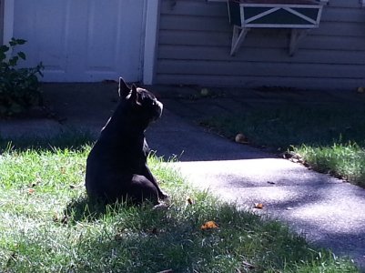 IMG_20130922_100144.jpg