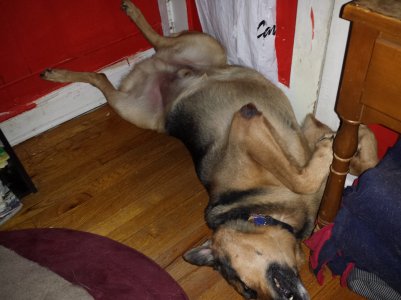 20130812_234257.jpg