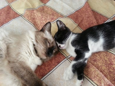 20131011_114208.jpg