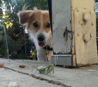 IMAG0459_1.jpg