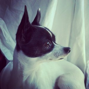 bella-roadtrip-april-2012.jpg