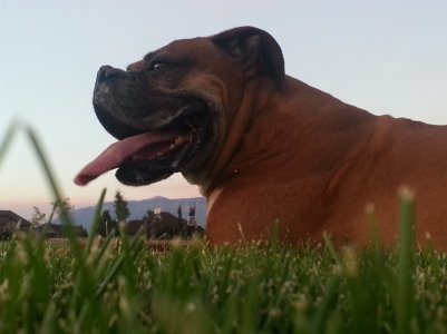 20130814_202352.jpg