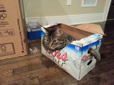 20120825_204039.jpg