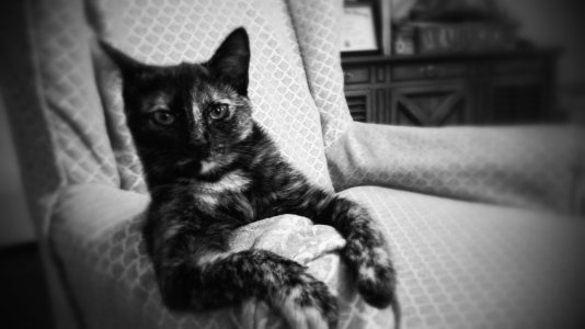 20130729_073258.jpg