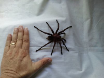 2011-08-30 14.28.12.jpg