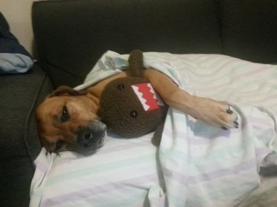 2013-04-20 21.56.10.jpg