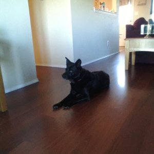 20131008_181546.jpg