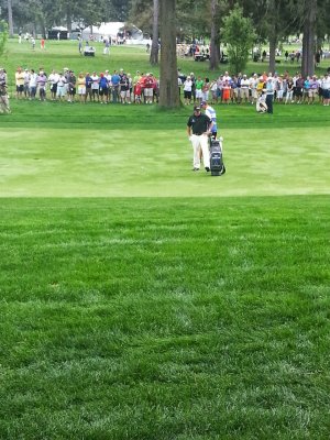 PGA.jpg
