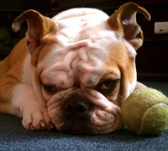 IMG_20110503_172516_2.jpg