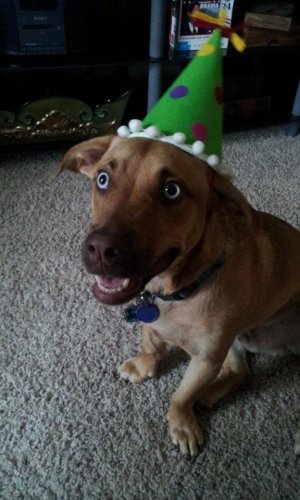 Dexter birthday.jpg