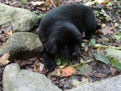 IMG00043-20111015-1336.jpg