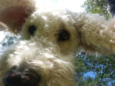 20130806_161024.jpg